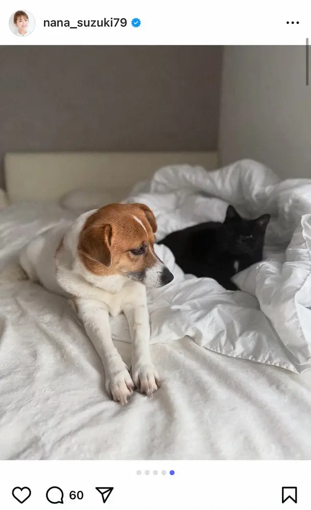 【画像・写真】鈴木奈々　愛犬＆愛猫のモモちゃんとクロちゃんを公開「動物と一緒に寝ると深い眠りにつけます」