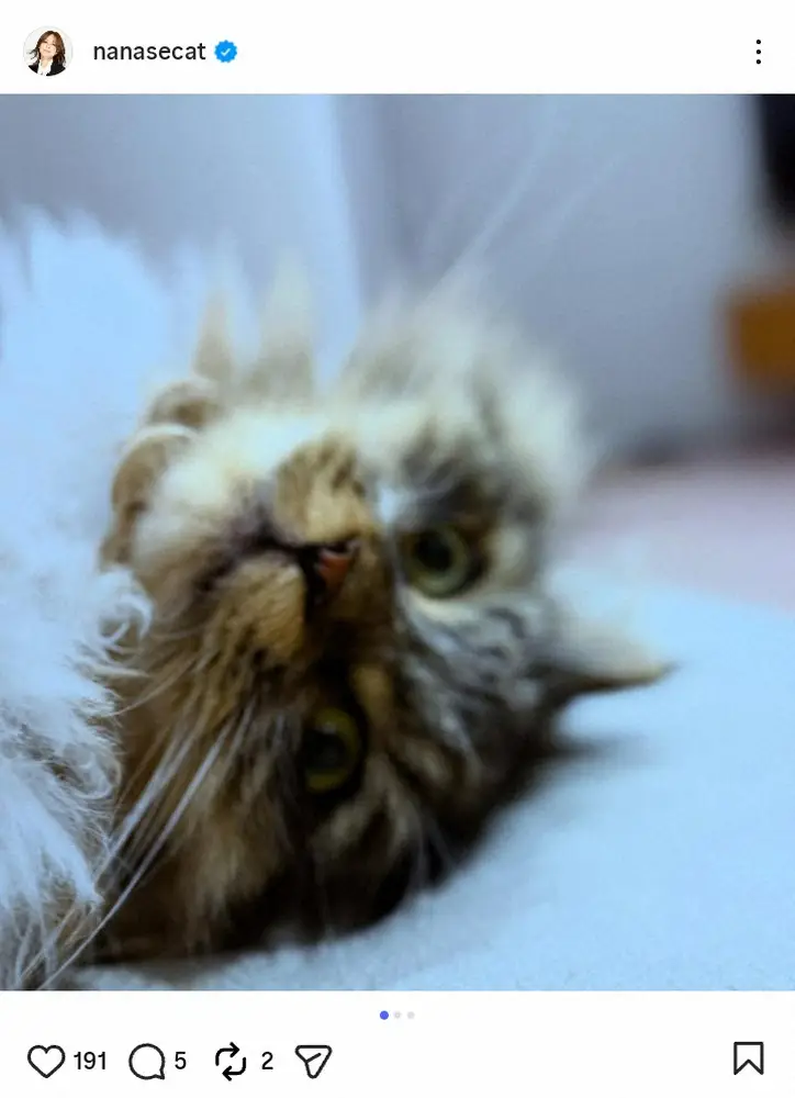 【画像・写真】現役大学院生の相川七瀬「あと20分というところで…」　緊迫の論文提出完了を報告「危なかった」