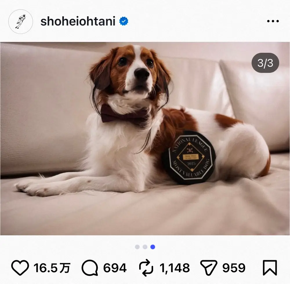 【画像・写真】大谷翔平の愛犬デコピンがBBWAAの最優秀犬賞受賞　盾も贈呈　粋な表彰に大谷も笑顔