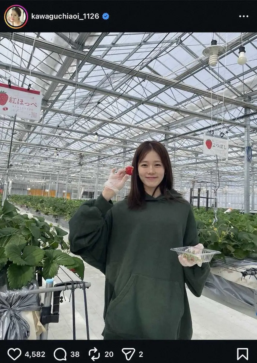 【画像・写真】武尊の妻・川口葵　いちご狩りSとともに最近の心境吐露「じいのためにも自分に嘘はつかず…わたしは元気」