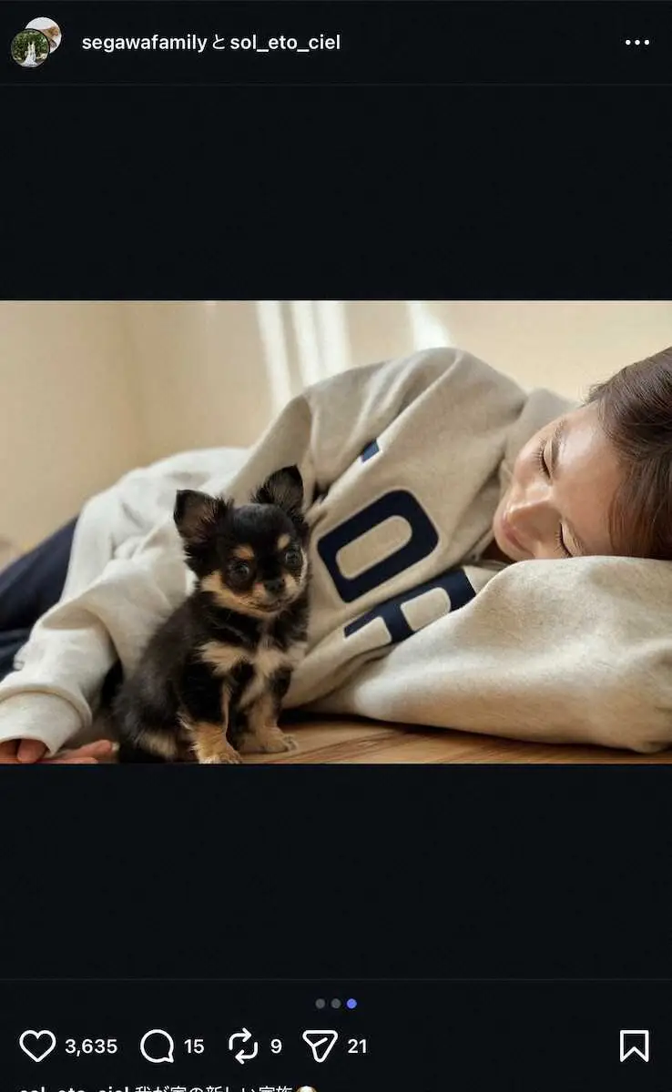 【画像・写真】武尊＆川口葵夫婦「我が家の新しい家族」　新たな愛犬との見つめ合うS！「可愛すぎ」「幸せいっぱい」の声