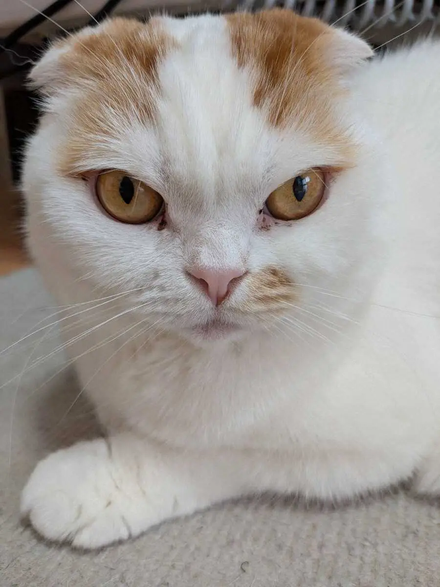 【画像・写真】カフェにいる“居眠りおじさん”「誰も気にしてへん」で済ませていいの？