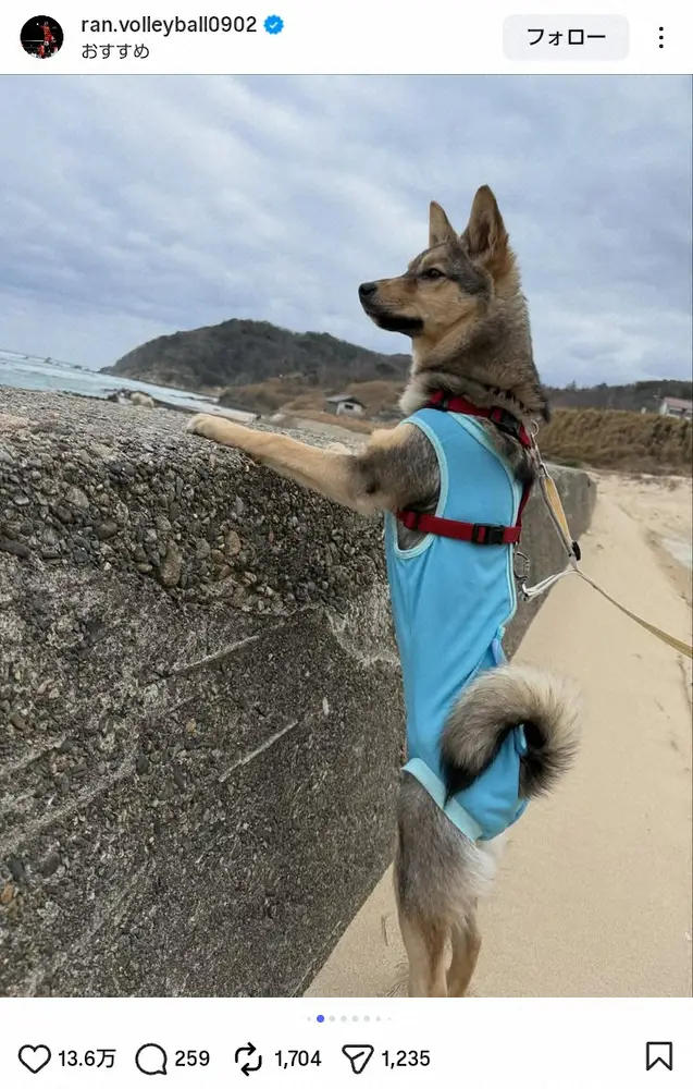 【画像・写真】高橋藍「家族旅行してきた」兄・塁との旅先ショットにファン「わんこまでイケメン」「楽しそう」