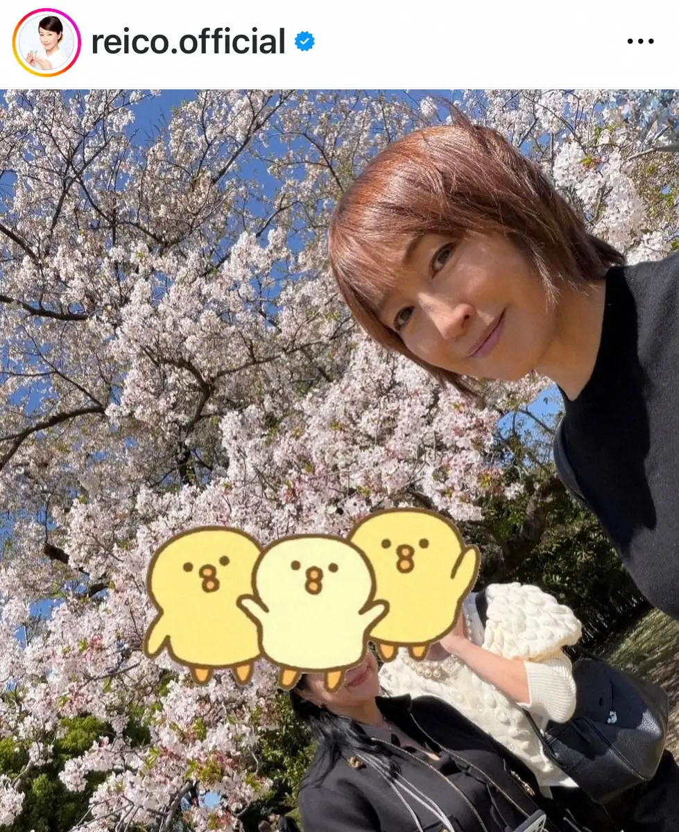 高島礼子の初めての皇居散策と癒しの散歩