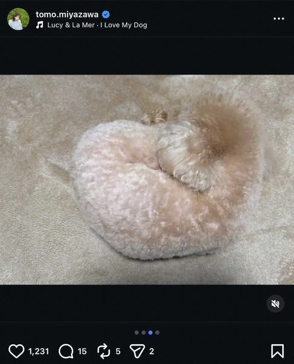 【画像・写真】フジ宮澤智アナ「お久しぶりです」　愛犬とのナチュラル2ショット！「かわいい～」「素敵」の声