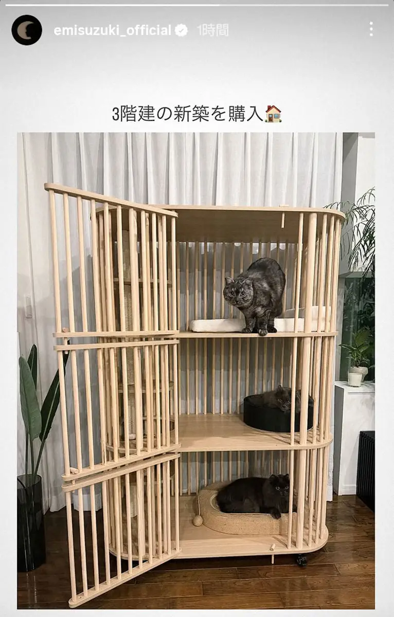 【画像・写真】鈴木えみ　愛猫のために「3階建ての新築を購入」と報告
