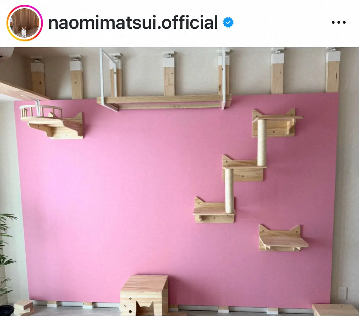 【画像・写真】松居直美　保護猫「早くお迎えに行けるように」準備着々　キャットウォーク完成報告「賃貸なので…」