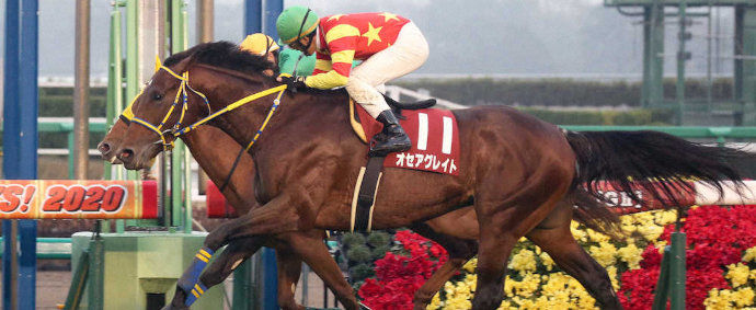 ステイヤーズｓ ー スポニチ Sponichi Annex