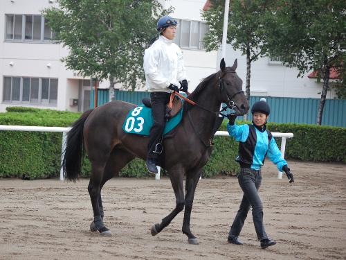ＴＵＢＥの前田亘輝の所有馬ノブクィーン。２５日、札幌４Ｒ新馬戦でいよいよデビューだ