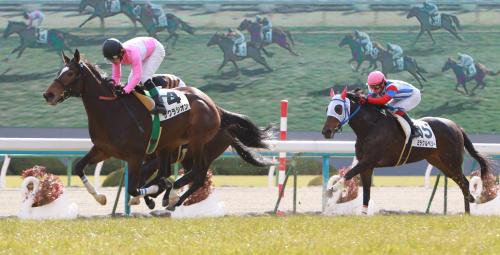 京都６Ｒ新馬戦でゴール前抜け出し快勝のサクラシオン（左）