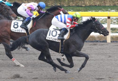 ＜東京４Ｒ新馬戦＞ゲルマンシチー（１０）が大外一気の差し切り勝ち