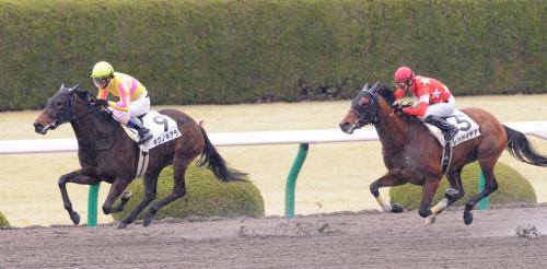 ＜阪神４Ｒ新馬戦＞直線で鋭く伸びるキクノキアラ（左）