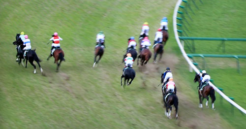＜ラジオＮＩＫＫＥＩ賞＞スタート後、１コーナー付近での斜行で競争を中止したプランスデトワール（左側奥、加害馬）とディアフォルティス（左側手前、被害馬）（ＪＲＡパトロールフィルムより）
