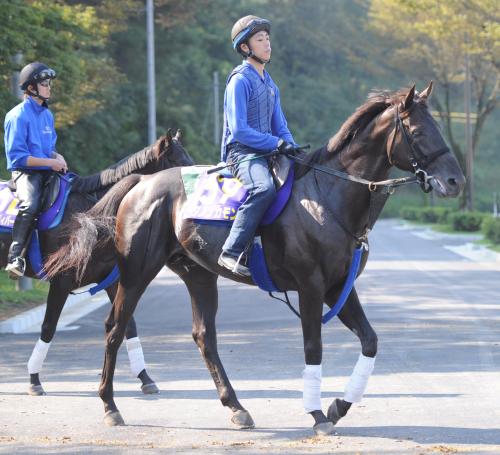 ＜南部杯＞強力な先行馬を目標に、東京巧者のダノンカモンが春からの成長ぶりを見せる