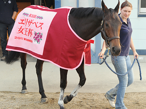 「エリザベス女王杯優勝馬」の馬服を身につけ運動するスノーフェアリー