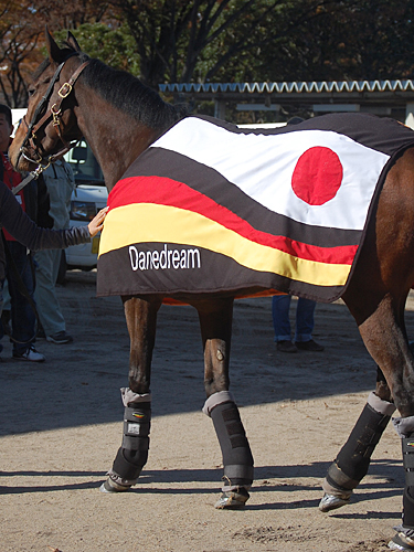 凱旋門賞馬デインドリームは日本とドイツの国旗をあしらった馬服を着て東京競馬場に到着