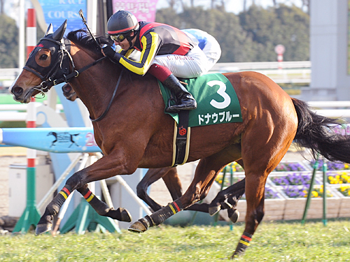 ＜京都牝馬Ｓ＞Ｃ・デムーロ騎乗のドナウブルーが重賞初制覇