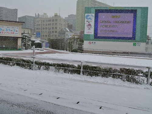 雪が降り積もった正午前の川崎競馬場パドック