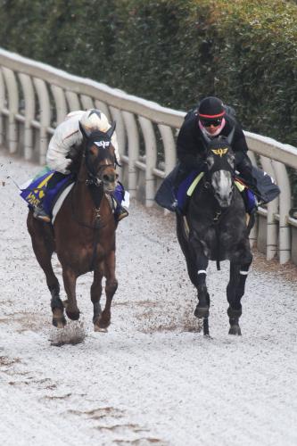 ＜高松宮記念＞雪が降る中、カレンチャン（右）は僚馬トウカイミステリーと併せて軽々先着