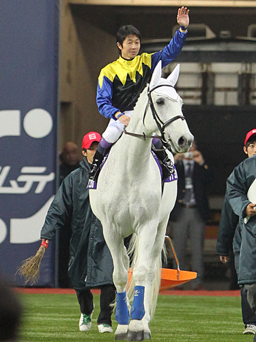 オリックス－ソフトバンク戦の始球式に、白馬に乗って登場した武豊騎手