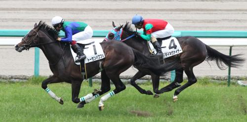阪神５Ｒ新馬戦を勝ったトーセンパワフル（左）
