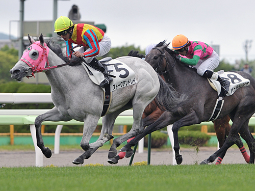 ＜函館５Ｒ新馬戦＞レースを制したストークアンドレイ（左）