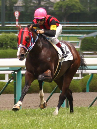 【阪神新馬戦】１番人気に応え優勝したエーシントップ