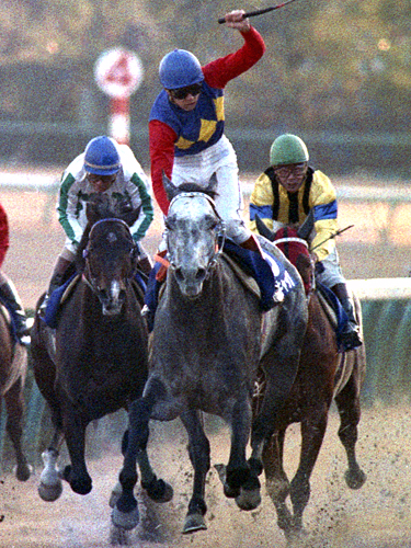 ９０年有馬記念、レースを制したオグリキャップ（中央）に騎乗の武豊騎手がガッツポーズ