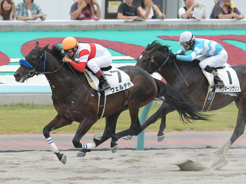 【２２日札幌新馬戦】レースを制したヴェルデホと鞍上の横山典弘騎手。右は２着のヤンキーソヴリン。