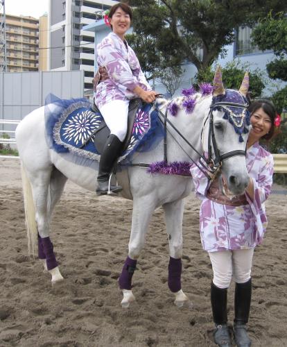 川崎名物・誘導馬は今夏、花火柄の新作衣装で登場