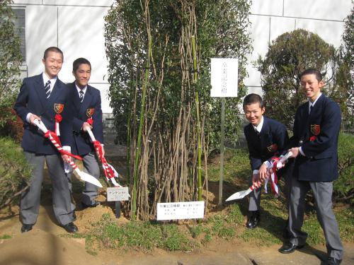 卒業記念植樹を行う（左から）城戸、岩崎、原田、伴