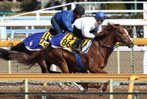 柴田善を背にナカヤマナイト（右）は馬なりで半馬身先着。前走回避後も仕上がり良し