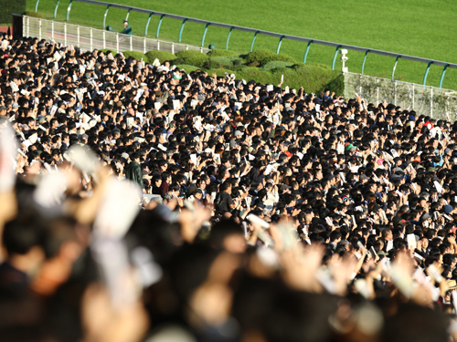 天皇賞・秋のスタート前に盛り上がる東京競馬場スタンドのファン