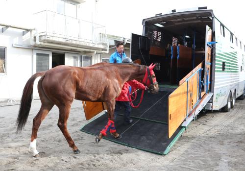 ハナズゴールは美浦トレセンから中山競馬場へ移動のため、馬運車に乗り込む