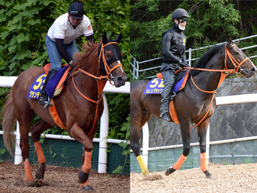 平田厩舎の看板馬２頭（右）カレンブラックヒルと（左）グランデッツァ。鮮やかに復活した実力馬から目が離せない