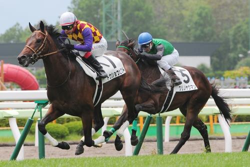 函館５Ｒ新馬戦は１番人気のトウショウピストが快勝
