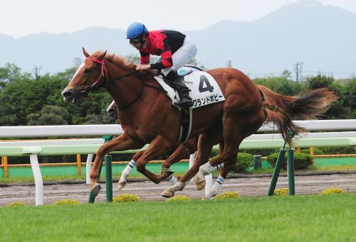 函館５Ｒ新馬戦、ゴール前で差しきって勝ったグランドポピーと田中博康騎手