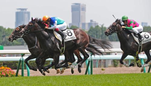 札幌５Ｒ新馬戦芝１８００メートル　直線で抜け出して勝ったアドマイヤガスト（福永祐一騎手）