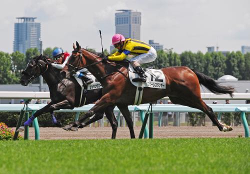 札幌５Ｒ新馬戦（芝１８００メートル）ゴール前の直線でさしきって勝ったフローレスダンサー四位洋文騎手