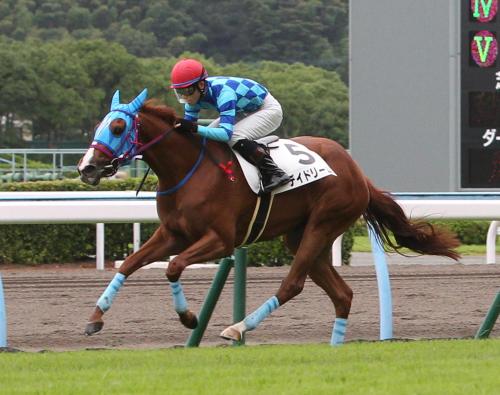 小倉新馬戦（芝１２００メートル）を逃げ切って勝った６番人気のデイドリーム