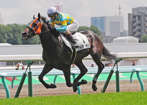 札幌５Ｒ新馬戦を逃げ切って勝ったアルマワイオリ