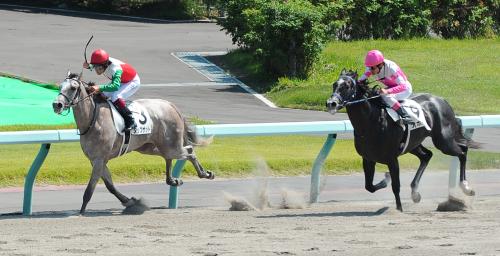 ＜札幌５Ｒ新馬戦＞４コーナーから逃げて勝ったタップザット(左）
