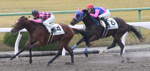 京都競馬　６Ｒ新馬戦で、ゴール前抜け出しデビュー戦勝利のスマートカルロス（右は２着のメイショウボノム）