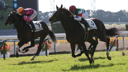 京都競馬　５Ｒ新馬戦で２着のスマートガイア（左）の１馬身以上の差をつけデビュー戦を飾ったエトランドル