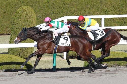 ＜阪神競馬６Ｒ・新馬戦＞人気に応え初陣を飾ったリアファル（９）