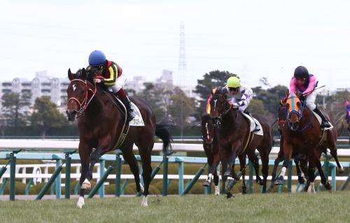 ＜阪神競馬５Ｒ・新馬戦＞人気に応え完勝したリアルスティール（左端）