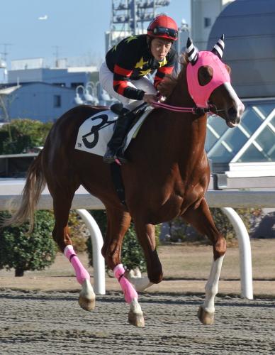 神奈川県産馬フライトファルコンと田中涼騎手