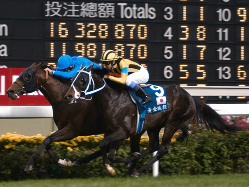 引退レースとなった０１年の香港ヴァーズでＧ１初制覇を飾ったステイゴールド