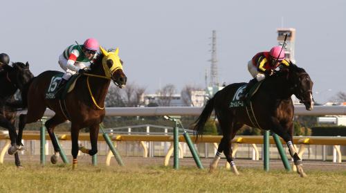 ＜ダイヤモンドＳ＞ファタモルガーナ（左）に２馬身差をつけ、連覇を達成した１番人気のフェイムゲーム