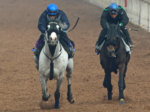岩田が乗ったゴールドシップ（左）はキッチリと併せ馬に先着
